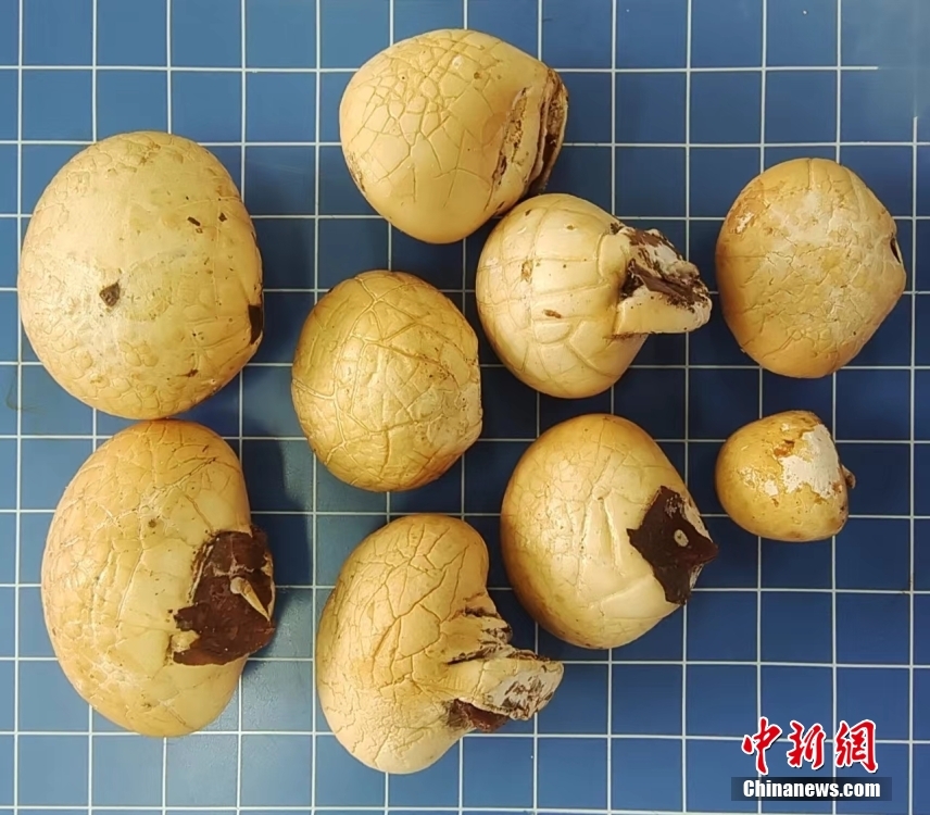 ?????? ?? ???? ??????? ???? ???? ?????