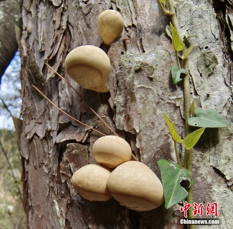 ?????? ?? ???? ??????? ???? ???? ?????