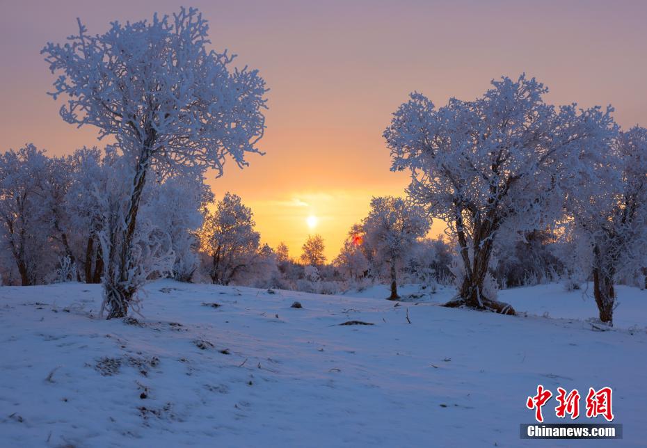 ??? ???? ????? ????? ??????? ??????? ????? ?? ???? ????????