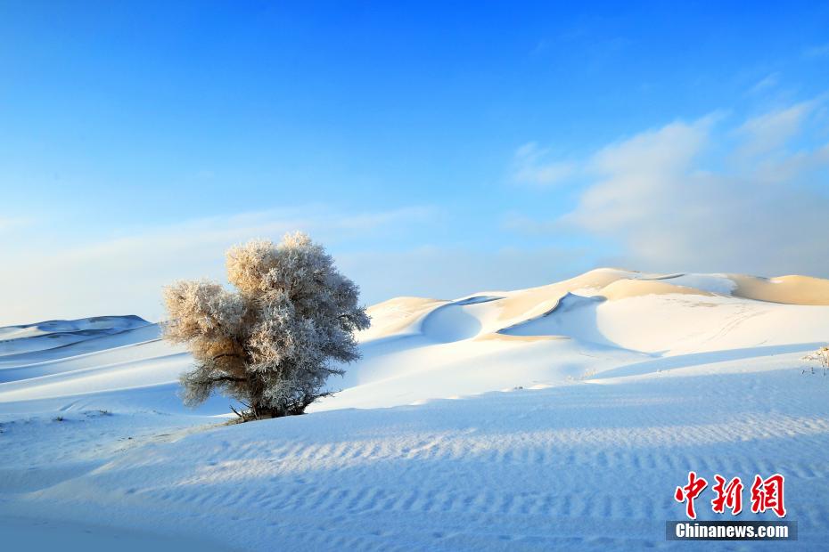 ??? ???? ????? ????? ??????? ??????? ????? ?? ???? ????????