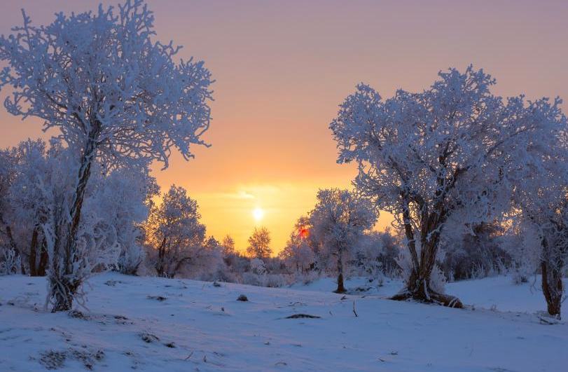 ??? ???? ????? ????? ??????? ??????? ????? ?? ???? ????????