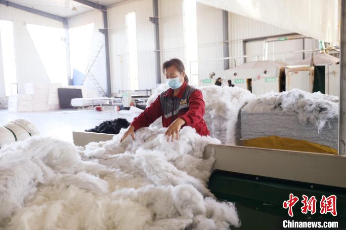 ?? 24 ??????? ???? ????? ????? ?????? ?? ????? ??????? ???? ??????? ??????.