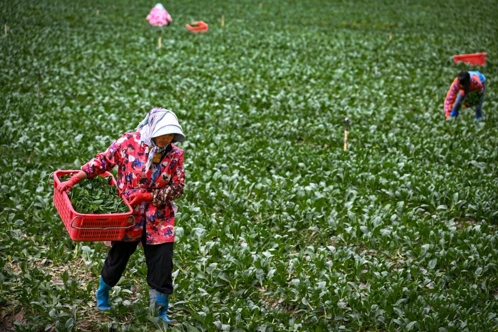 ???????? ??????? ????????.. ???????? ???????? ???? ????? ????? ??????? ??????? ??? ????? ?????? ???????