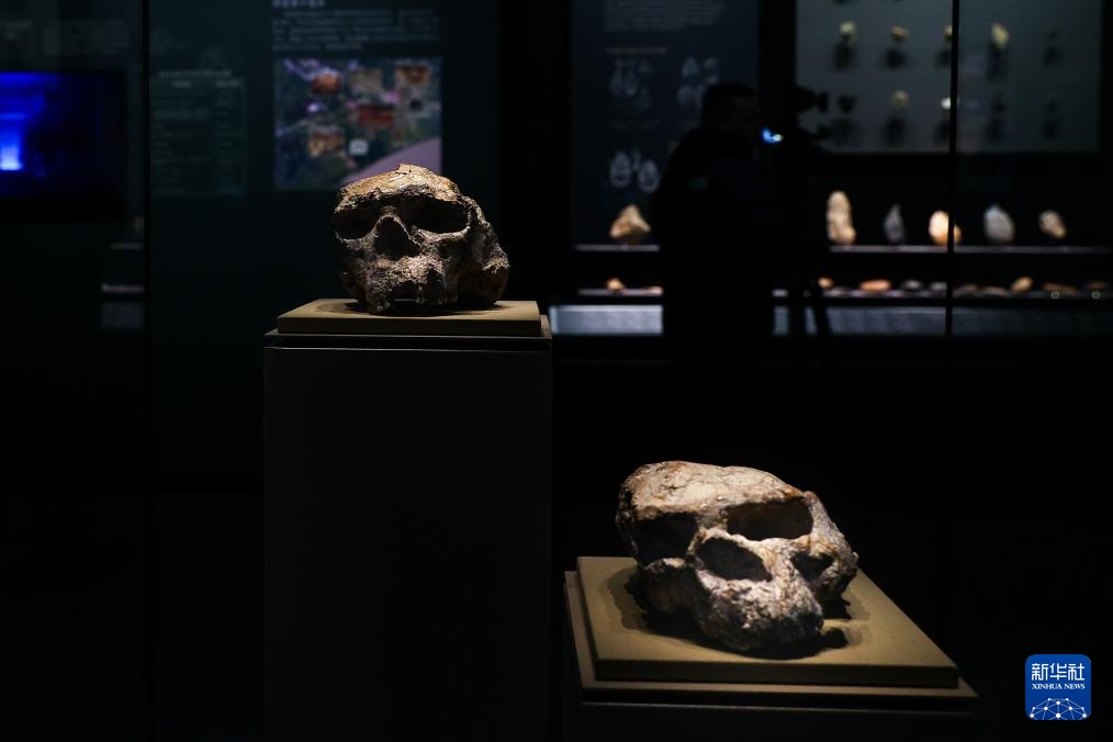 ????? ?????? ????? ???? ?? 4000 ???? ????? ?? ????? ??????????