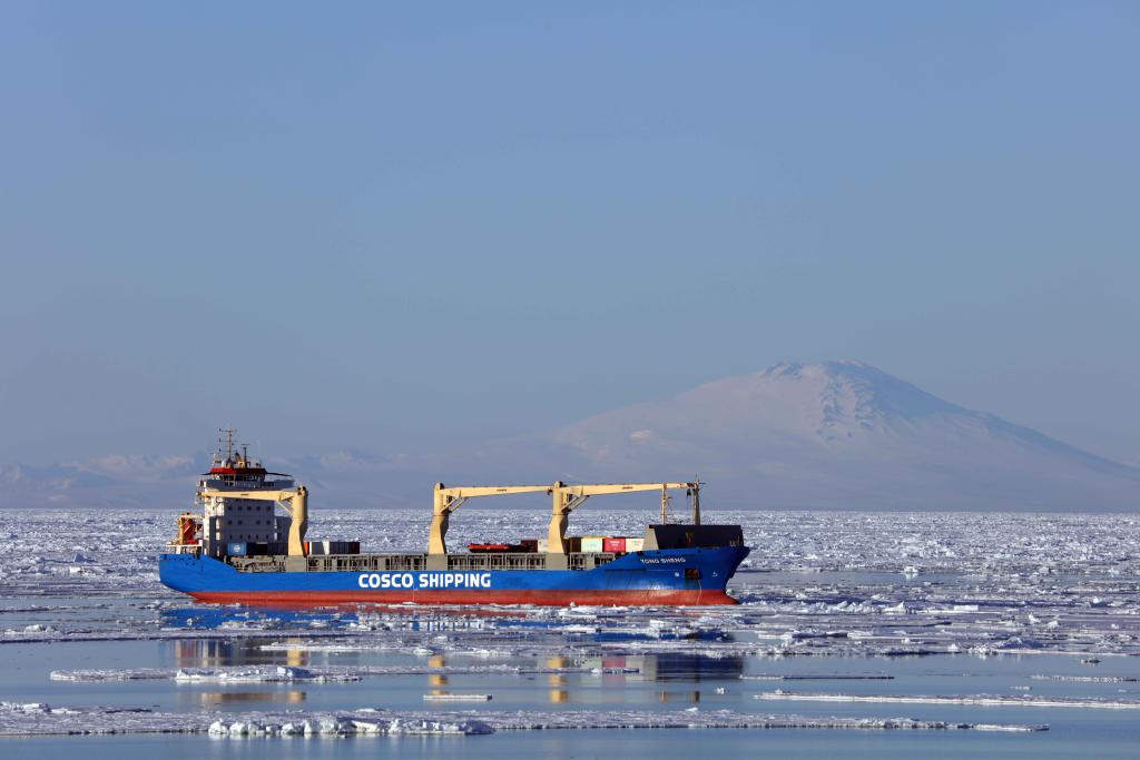 ??????: ????? ??? ???? ?? ?????? ??????????? ??????? ???41 ??? ????? ???????