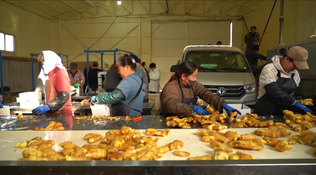 ???????????? ???? ???????? ?????? ??? ????? ????? ??????