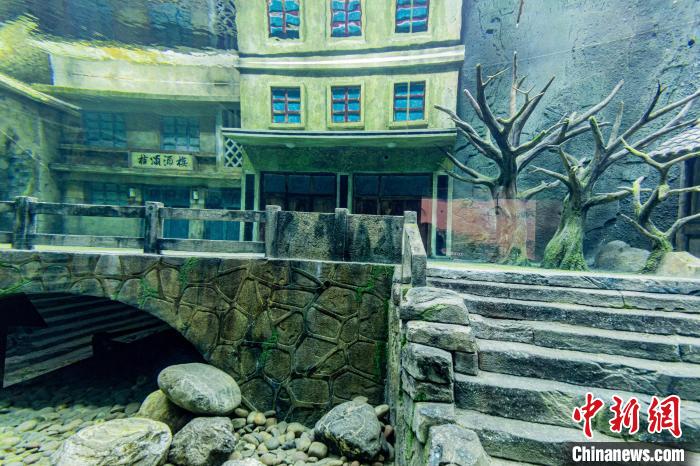 ???? ?????? ?????? ????? ?????? ?? ??????? ??? ???? ?? ??????? ???????