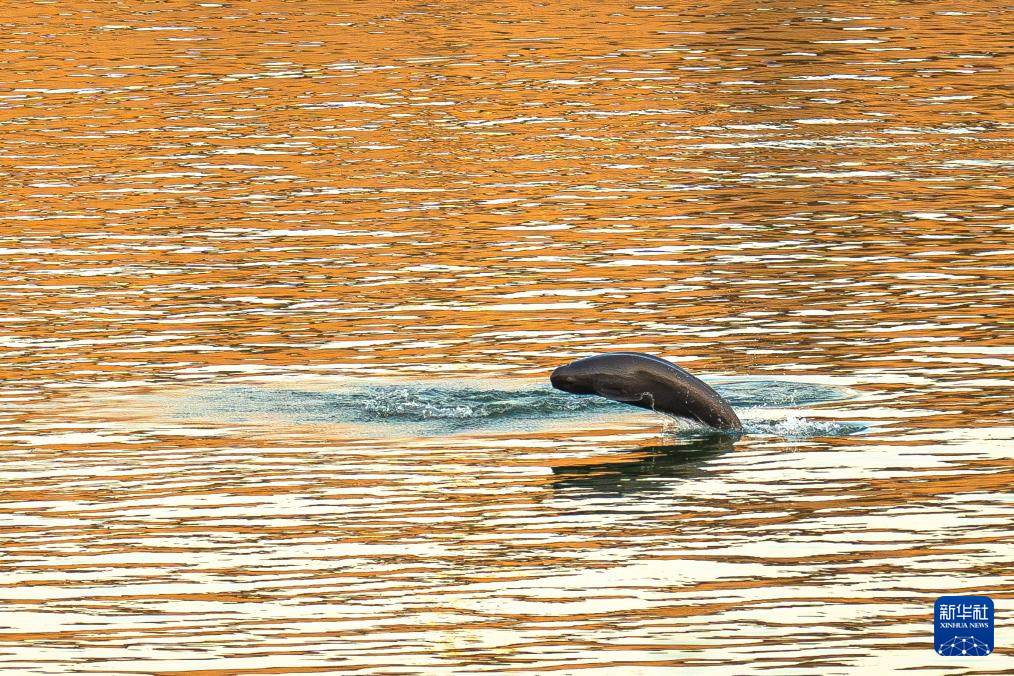 ??? ????? ?????? ?????? ????? ?? ??? ?????????