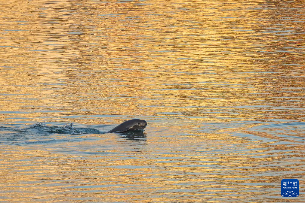 ??? ????? ?????? ?????? ????? ?? ??? ?????????