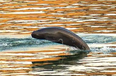 ??? ????? ?????? ?????? ????? ?? ??? ?????????