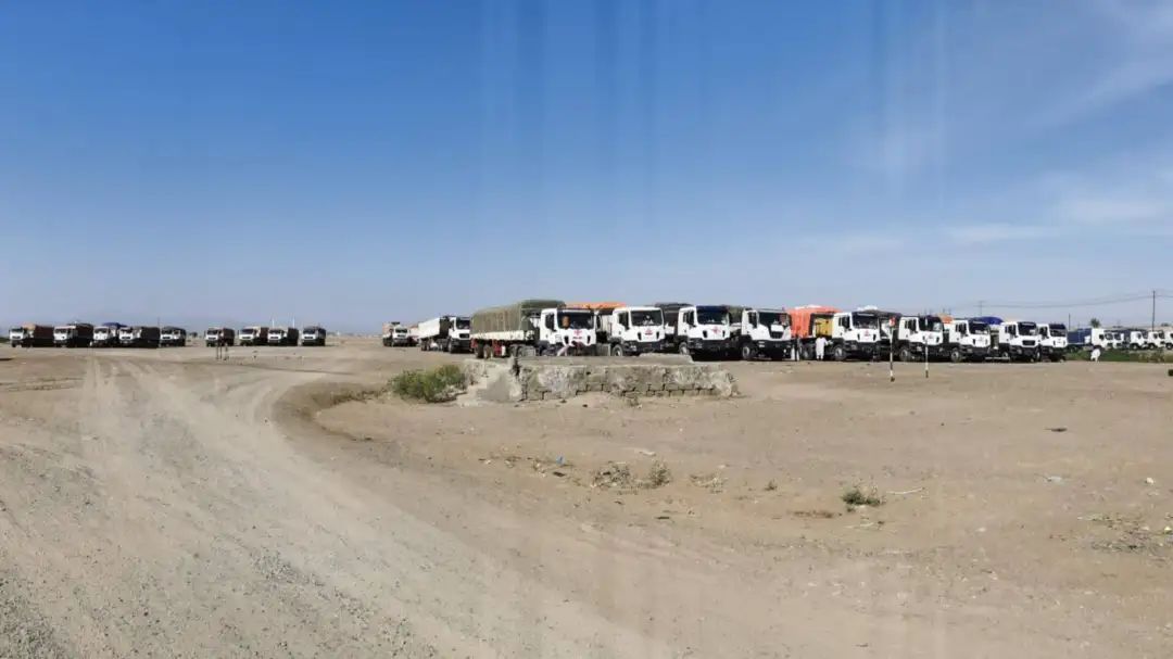 ????? ??????: ????? ?????? ????????? ???????? ??????? ??????? ?? ????? ???????