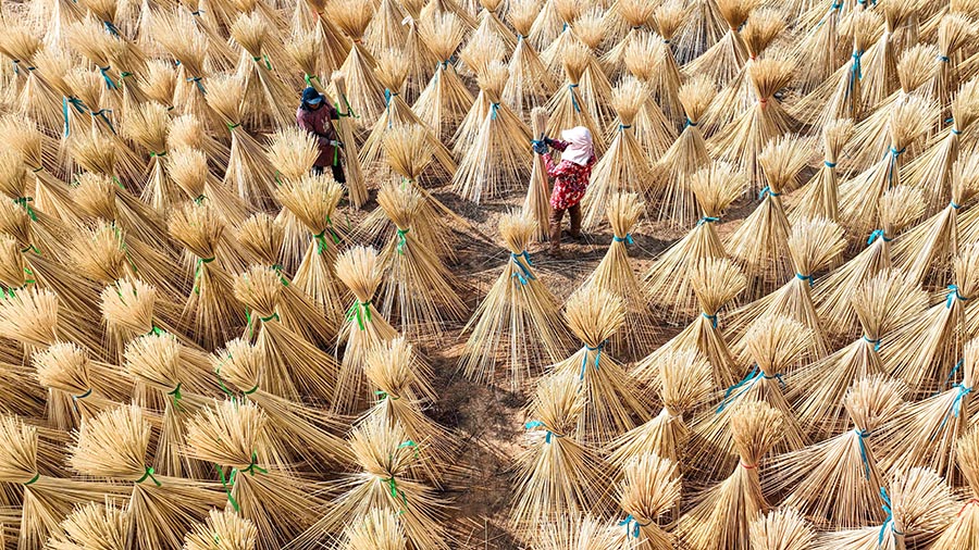 ??????????? ???????: ?????? ?????? ???? ???? ?????