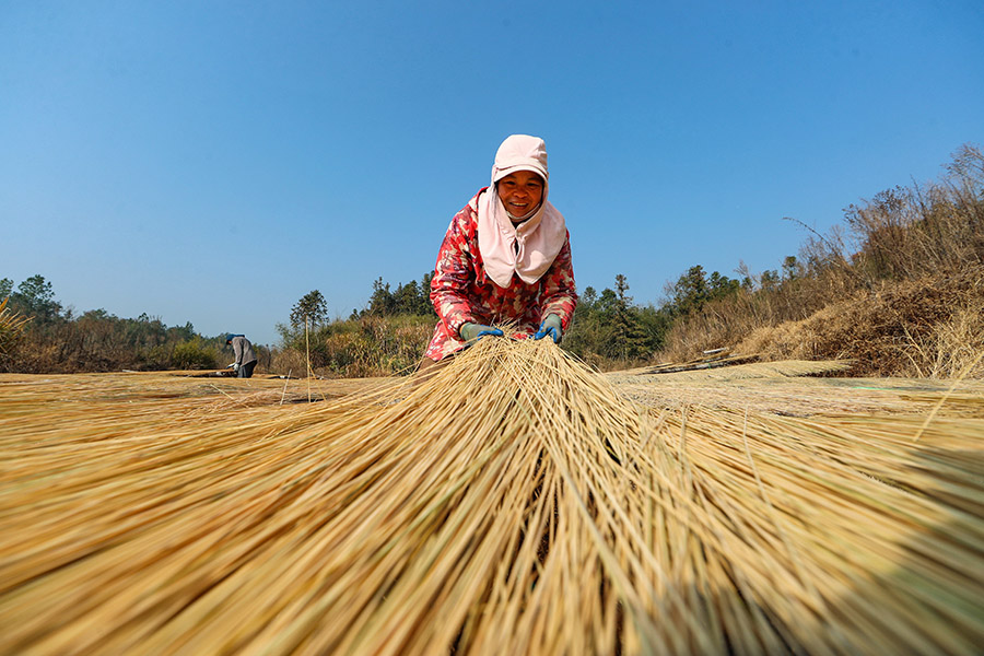 ??????????? ???????: ?????? ?????? ???? ???? ?????