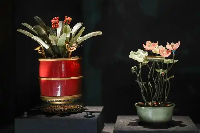 ???? ???? ????? ?? ???????? ???? ????? ??????????? ????????