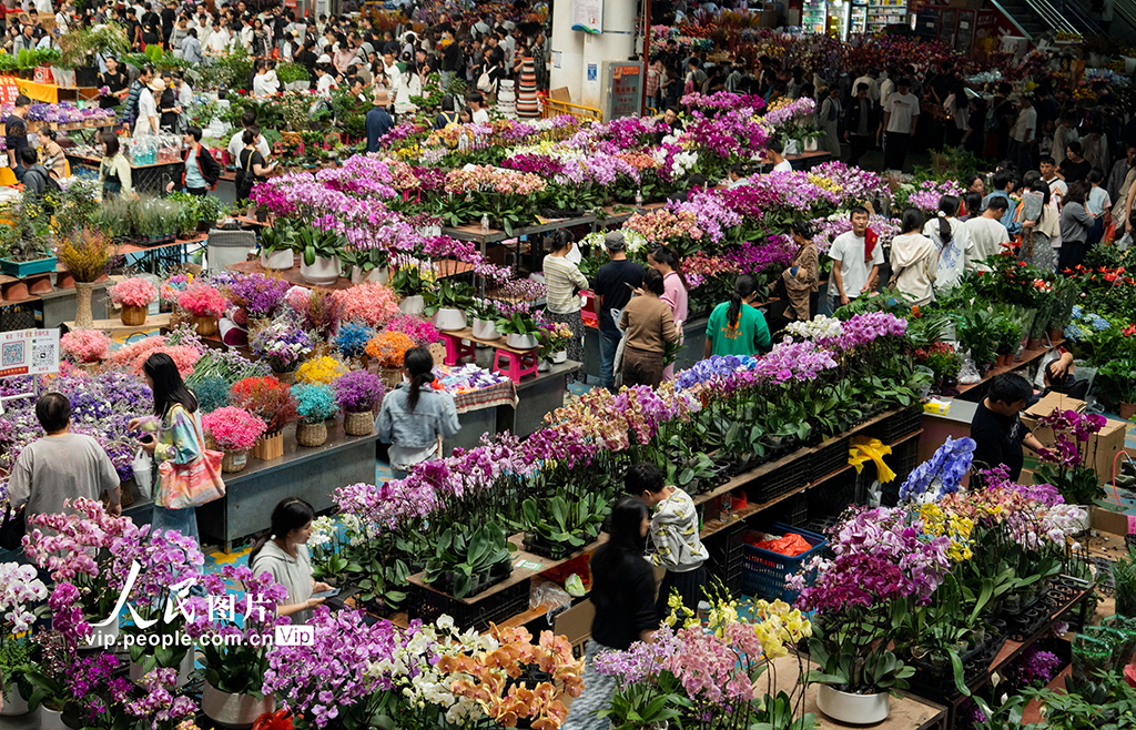 ??? ?????? ?? ????? ????? ???? 200 ????? ????