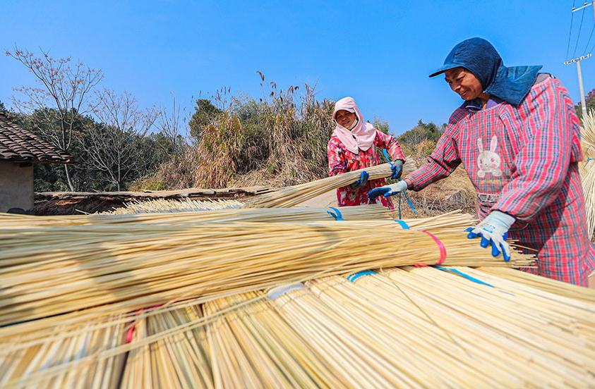 ??????????? ???????: ?????? ?????? ???? ???? ?????