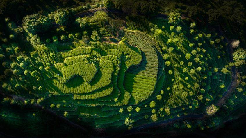 ????? ??????: ????? ????? ???? ???? ??????? ??????