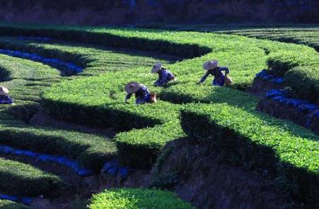 ????? ??????: ????? ????? ???? ???? ??????? ??????