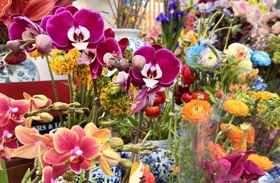 ?????? ?????? ?????? ?? ????? ?? ?????? ??? ??????