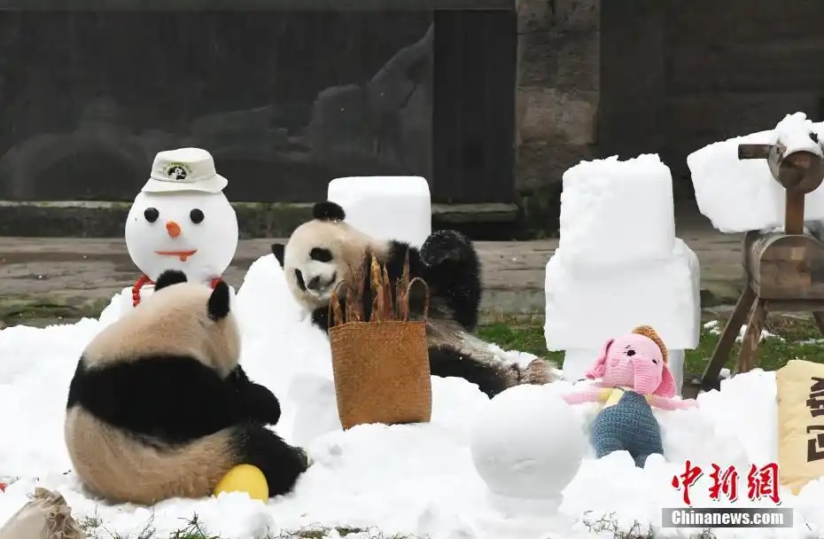 ??????????: ??????? ???????? ?????? ?????? ???????? ??? ??????