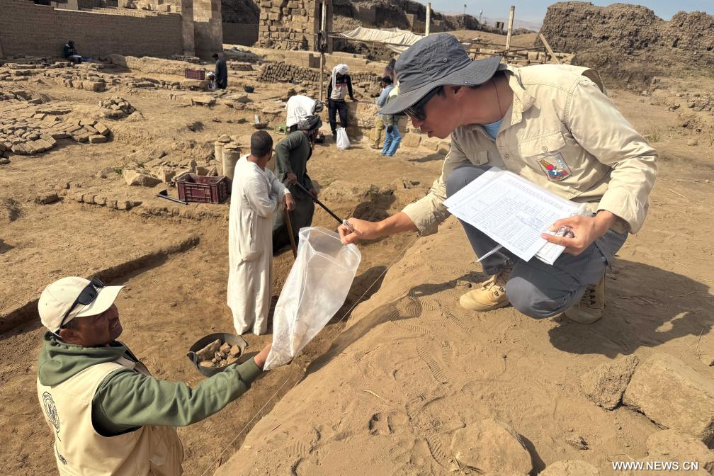 ????? ???? ?????? ??????? ??????? ????? ???? ???? ?? ?????? ????? ???