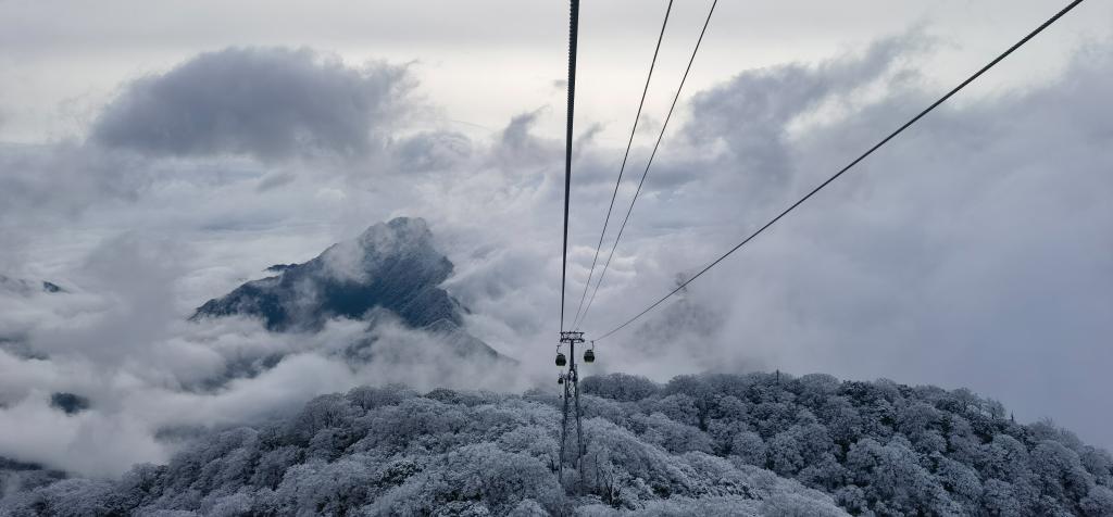 ?????: ????? ?????? ?? ??? ??????? ????? ???? ?????