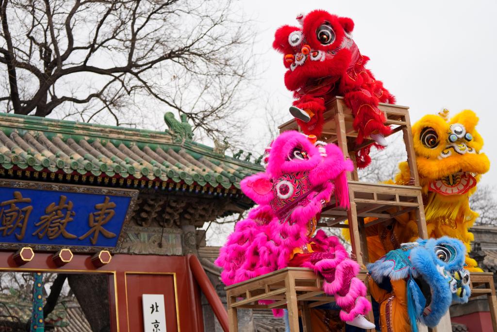 ???? ???? ????? ??????? ???? ?????? ?? ????