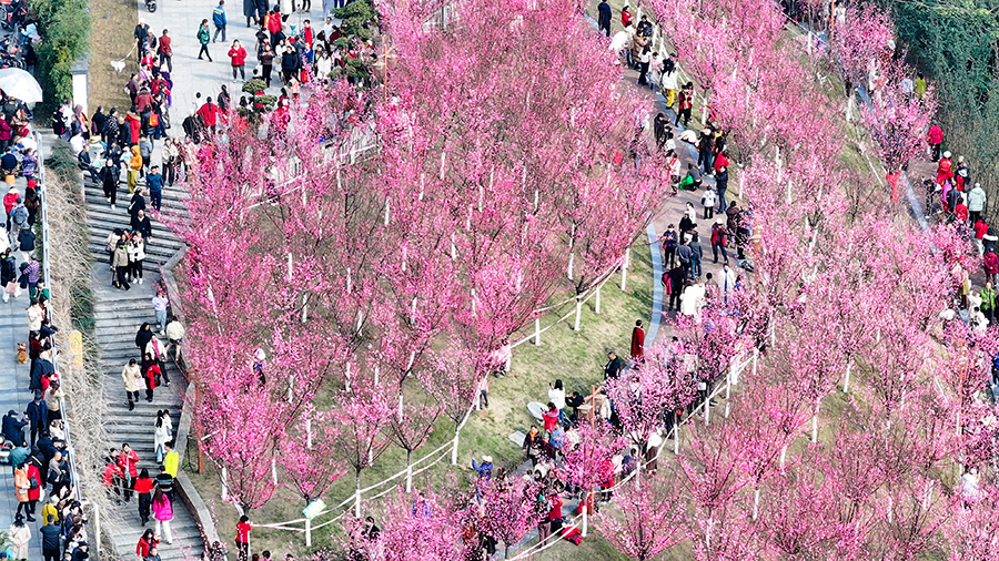 ?????? ???????: ????? ??????? ???? ????? ??????? ???????