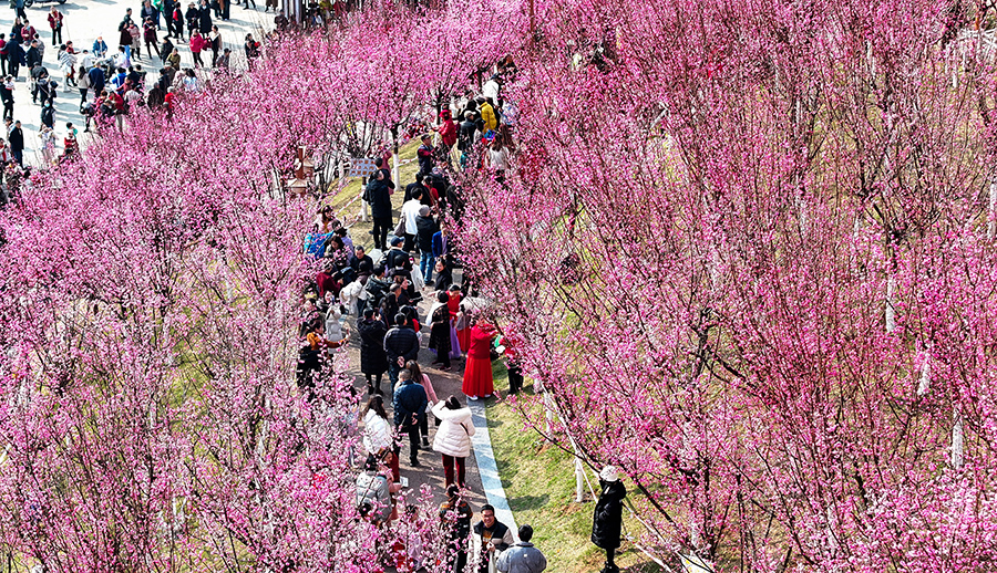 ?????? ???????: ????? ??????? ???? ????? ??????? ???????