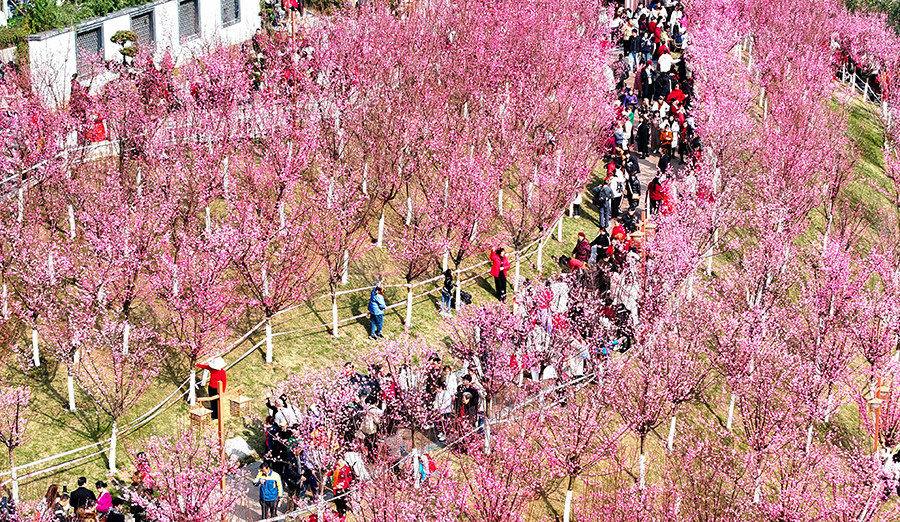 ?????? ???????: ????? ??????? ???? ????? ??????? ???????