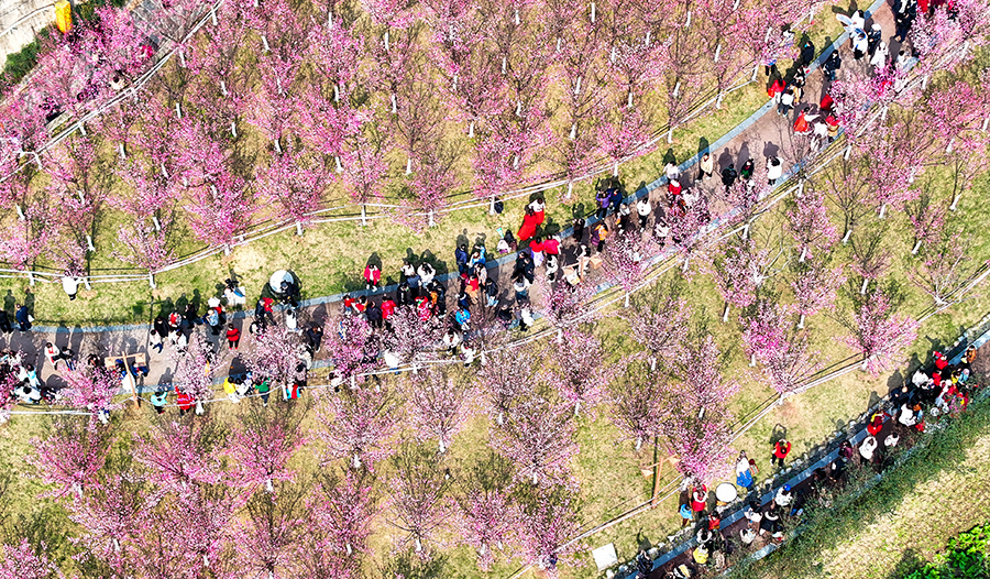 ?????? ???????: ????? ??????? ???? ????? ??????? ???????