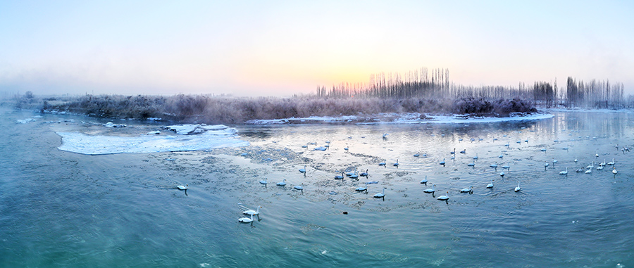 ??????? ????????: ????? ????? ???? ?????? ?????