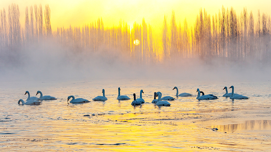 ??????? ????????: ????? ????? ???? ?????? ?????