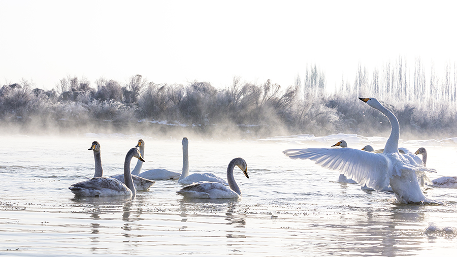 ??????? ????????: ????? ????? ???? ?????? ?????