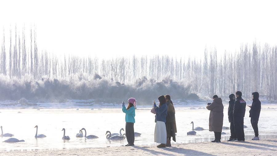 ??????? ????????: ????? ????? ???? ?????? ?????