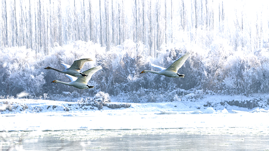 ??????? ????????: ????? ????? ???? ?????? ?????