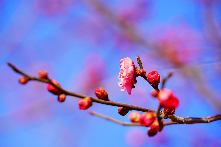 ????: ????? ??????? ????? ????? ?? ????? ????? ??? ???? ????