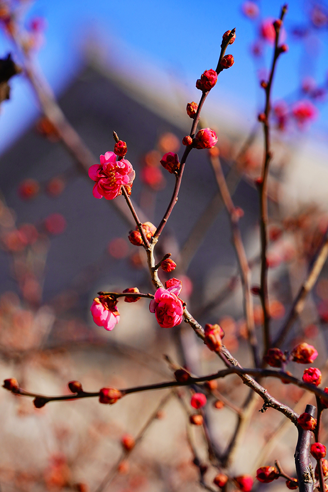 ????: ????? ??????? ????? ????? ?? ????? ????? ??? ???? ????