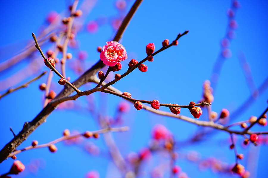 ????: ????? ??????? ????? ????? ?? ????? ????? ??? ???? ????