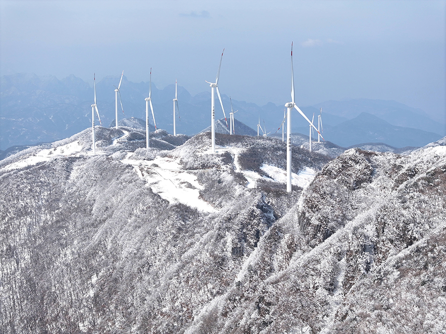 ???????? ????: ???? ?????? ????? ??? ????? ??????????