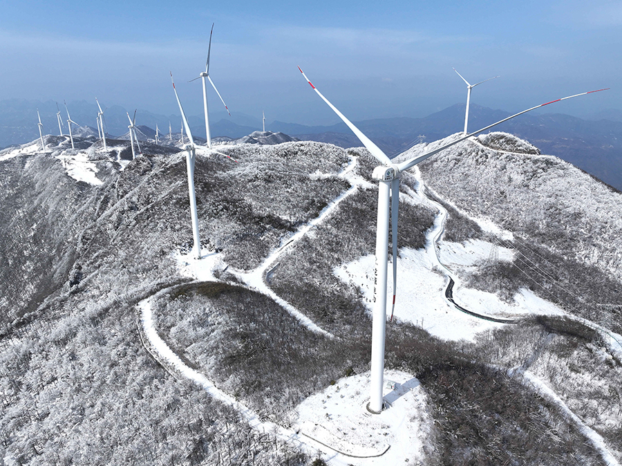 ???????? ????: ???? ?????? ????? ??? ????? ??????????