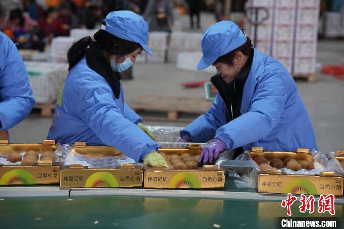 ???? ?????????? ??? ???? ?? ????? ?????????? ?? ????? ??? 2025