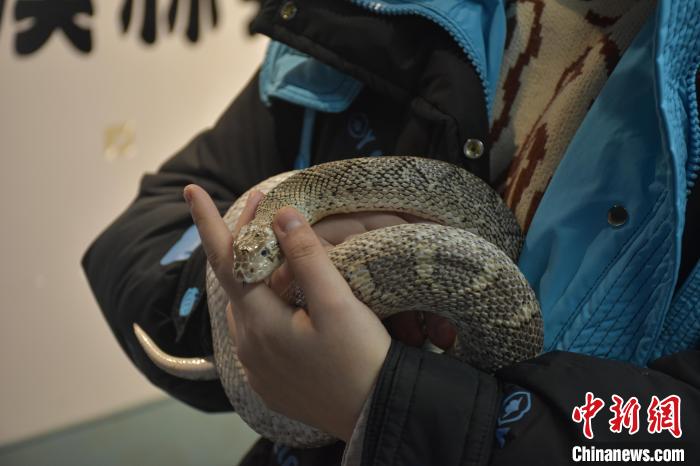 ??? ?????? ????? ?????? ?????? ???? ?? ????????