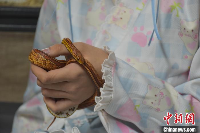 ??? ?????? ????? ?????? ?????? ???? ?? ????????