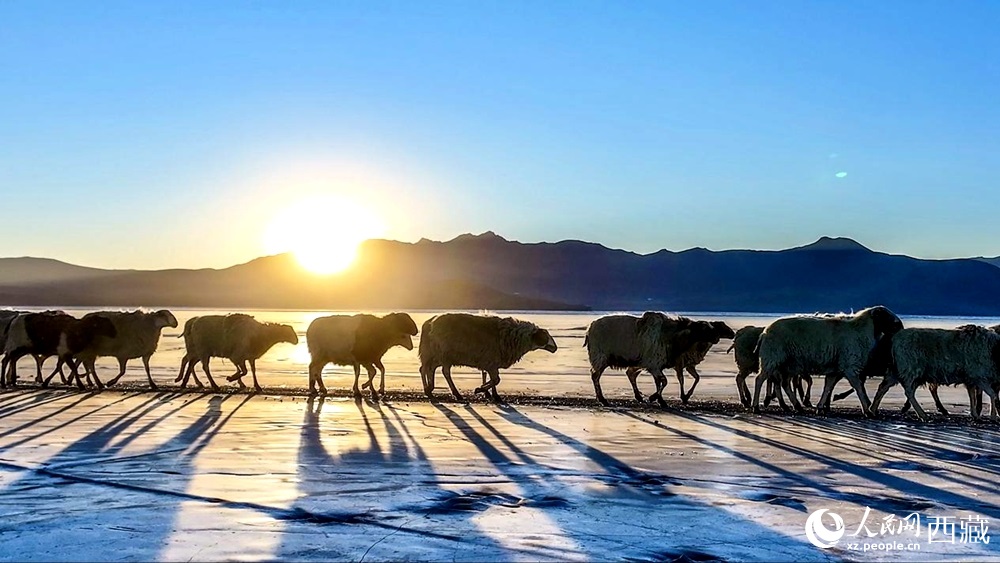 ??????? .. ??????? ????? ????? ?????? ??? ??????? ???????