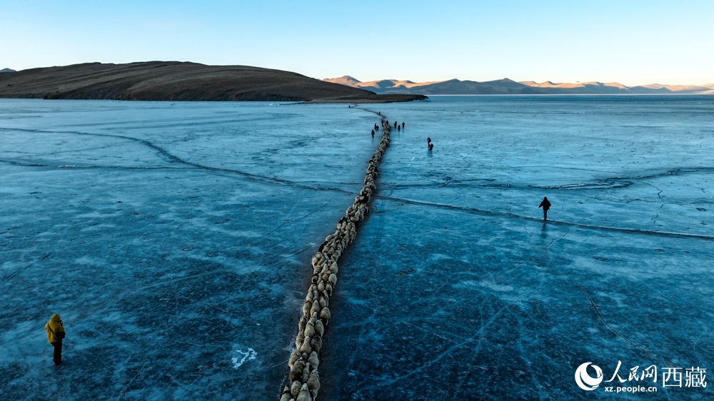 ??????? .. ??????? ????? ????? ?????? ??? ??????? ???????