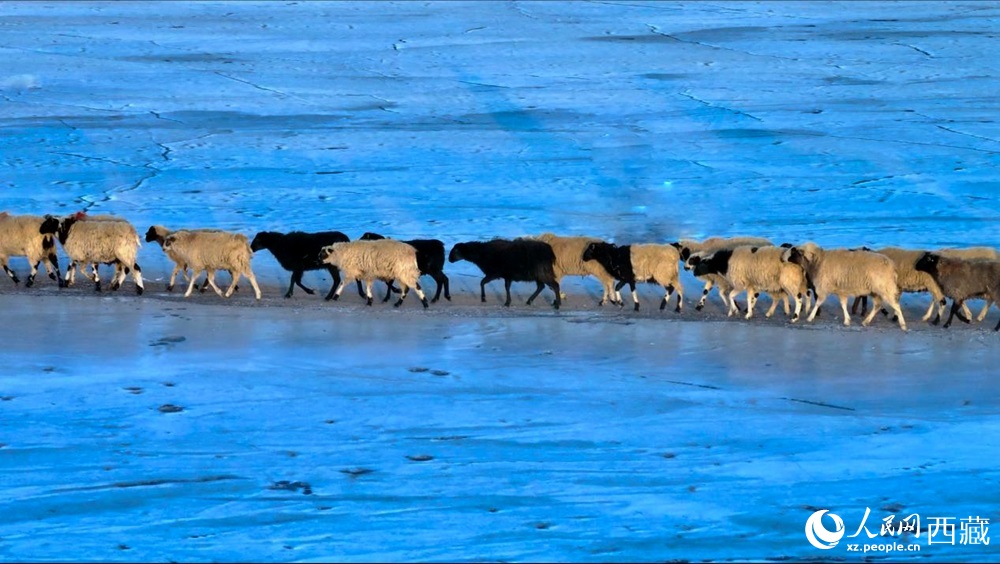 ??????? .. ??????? ????? ????? ?????? ??? ??????? ???????