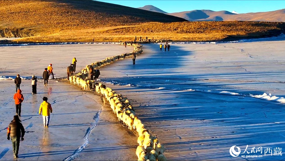 ??????? .. ??????? ????? ????? ?????? ??? ??????? ???????