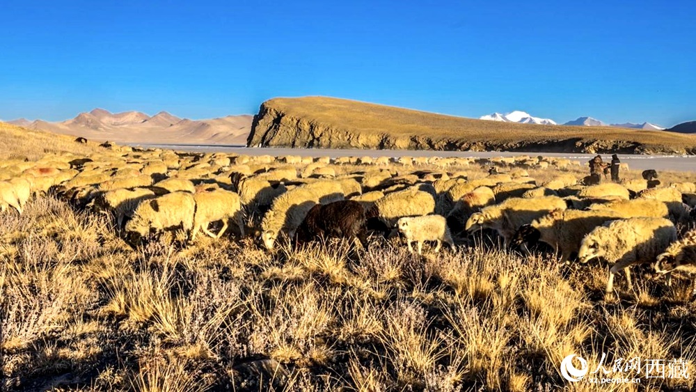 ??????? .. ??????? ????? ????? ?????? ??? ??????? ???????