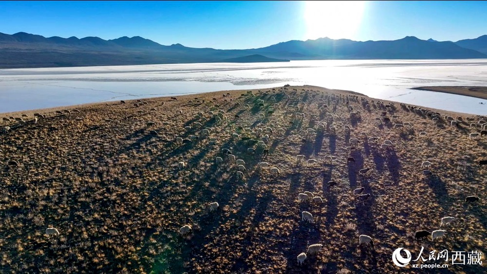 ??????? .. ??????? ????? ????? ?????? ??? ??????? ???????